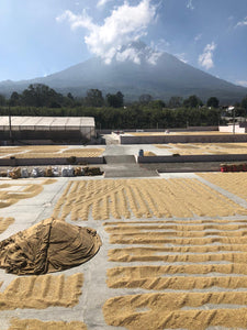 Guatemala Sourcing Trip 2020