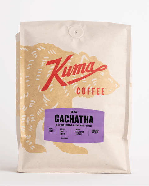 Kenya Gachatha *New*