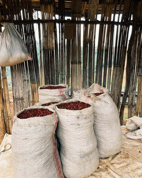 Burundi Natural Busambo #12