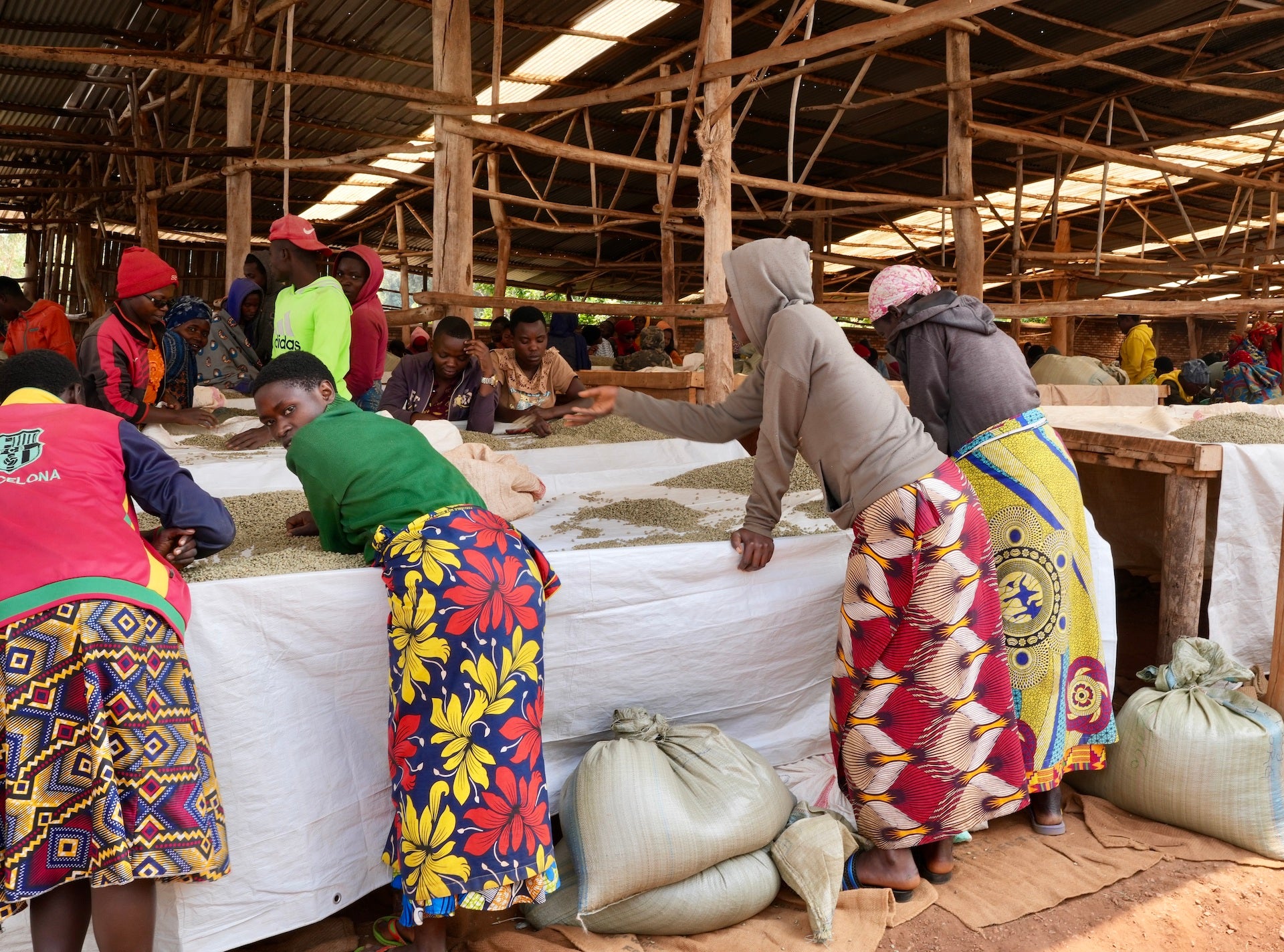 Burundi Ruvumu #3 – Kuma Coffee