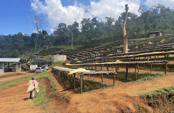 Ethiopia Kinjo *New*