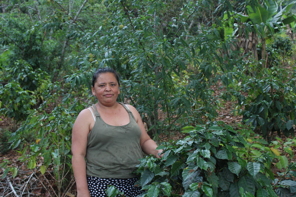 Honduras Dilcia Alvarado